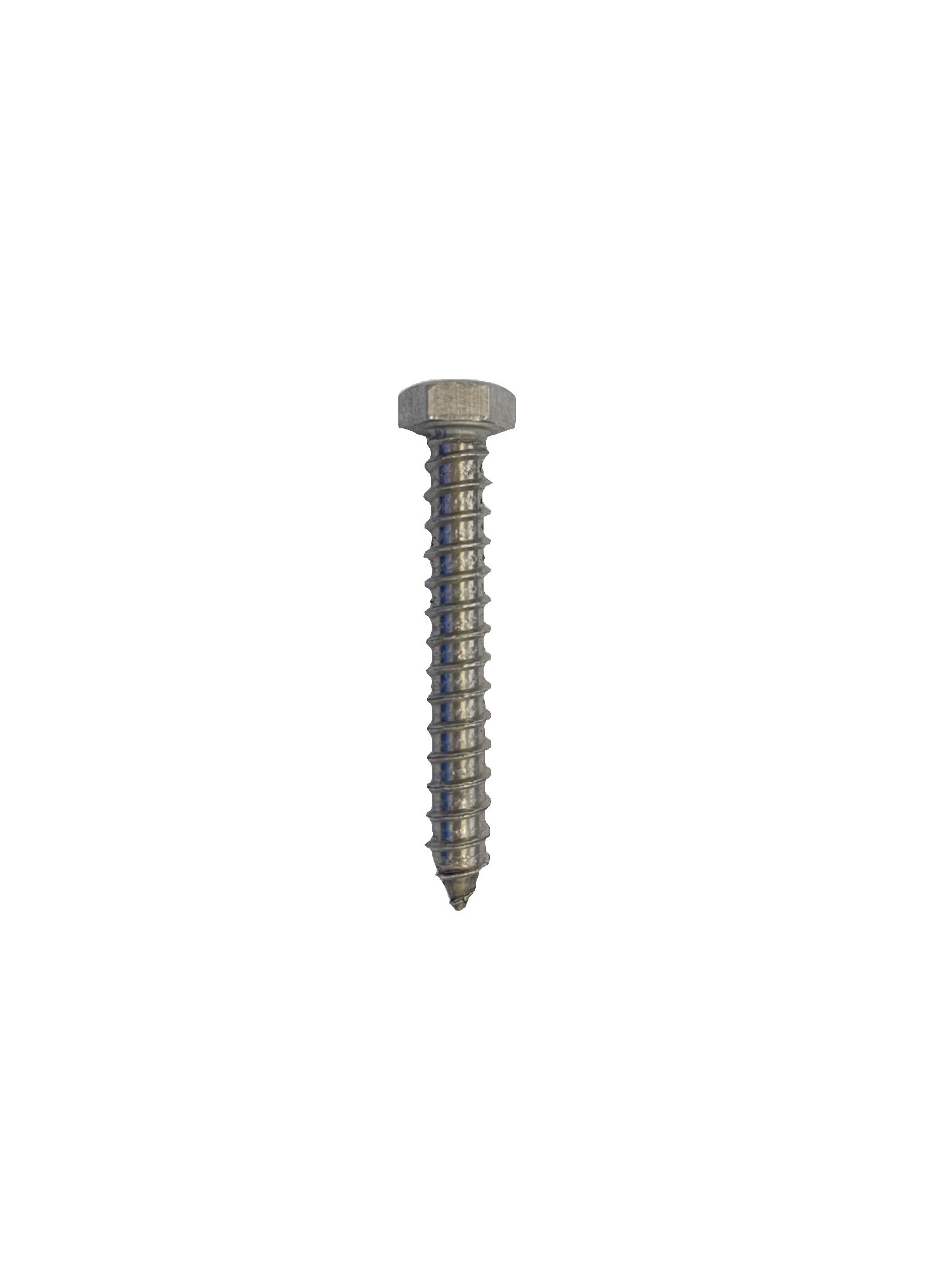 Wood Screw 