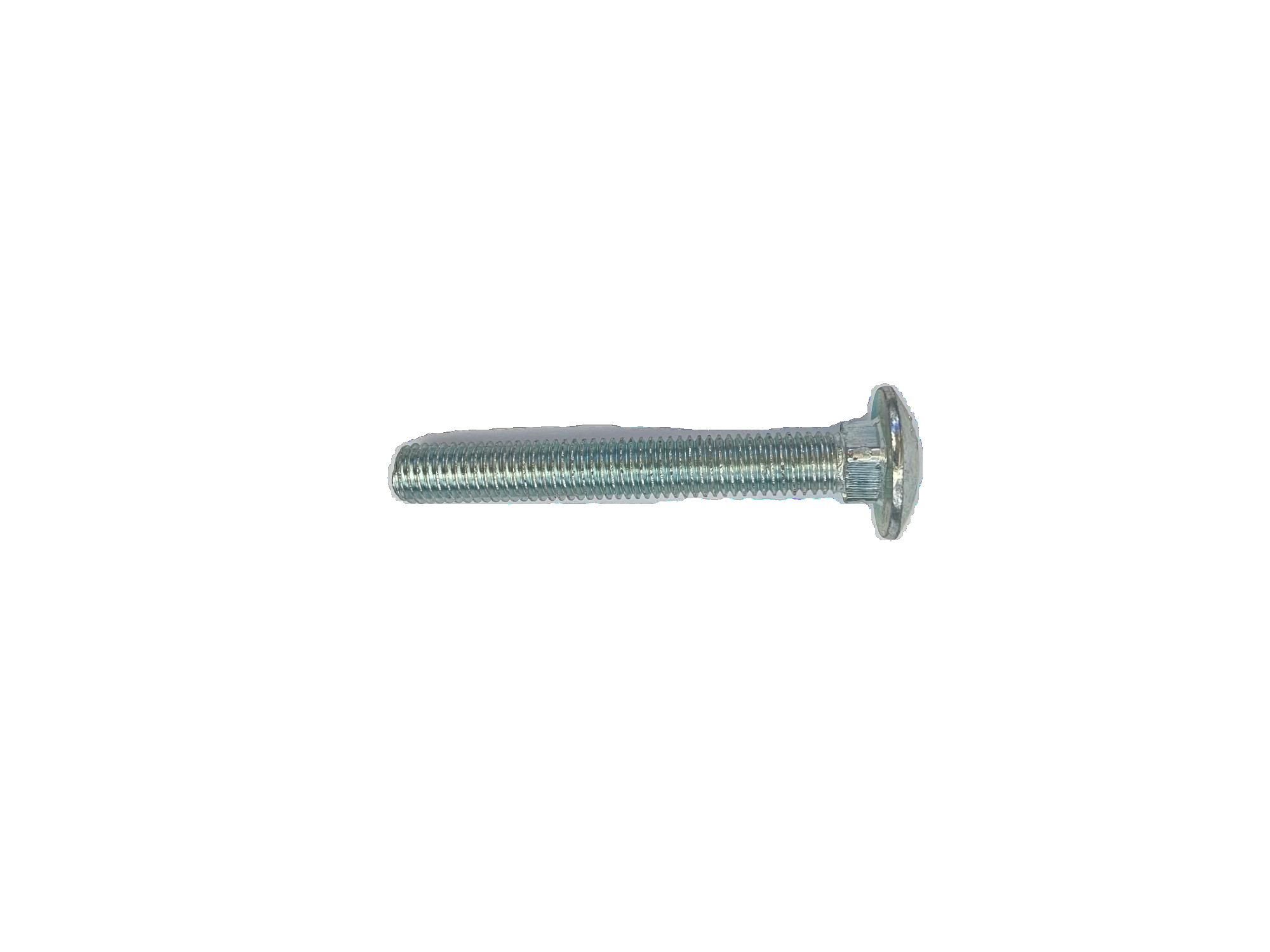 Carriage Bolt 