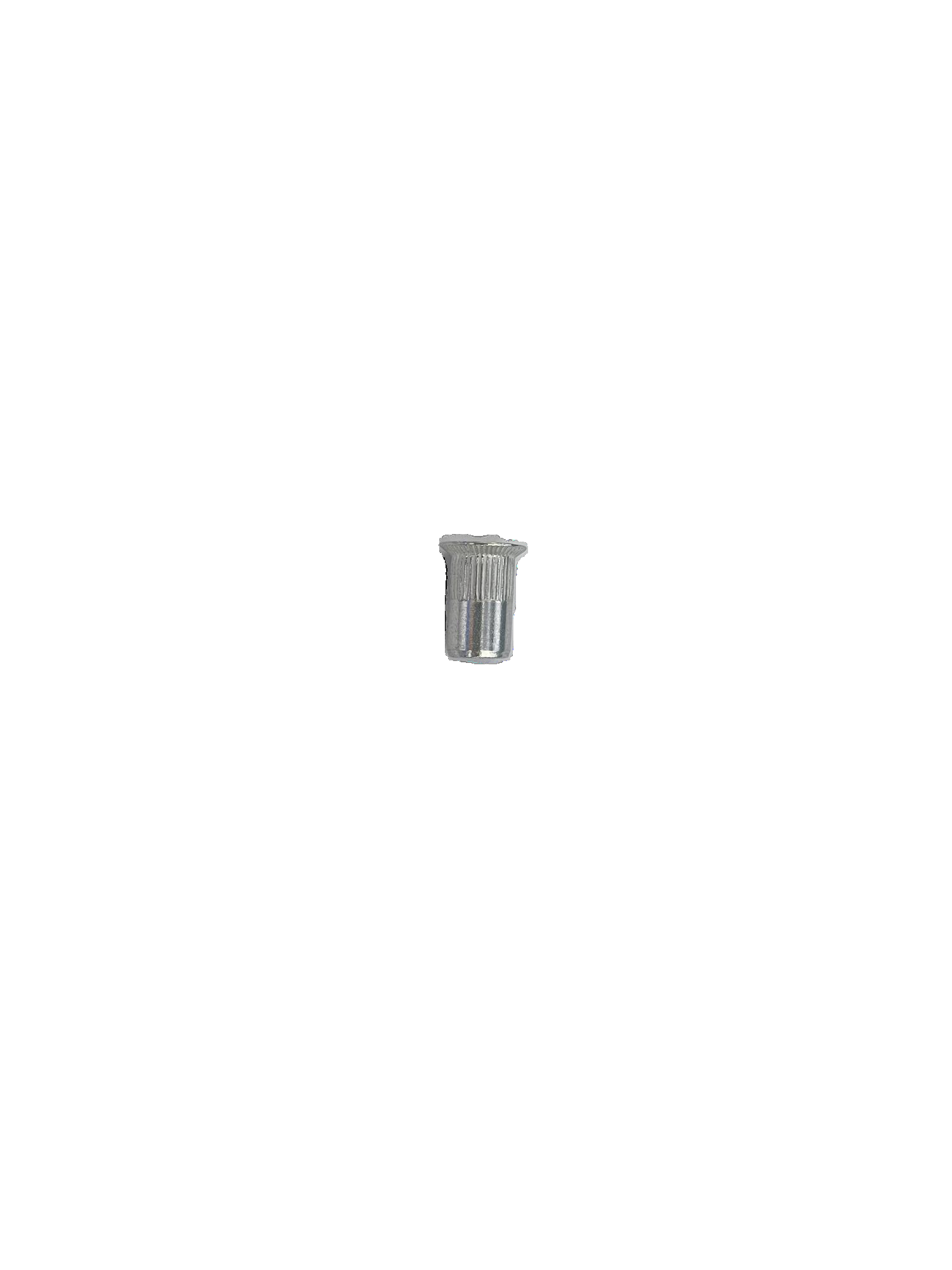 Blind Rivet Nut 